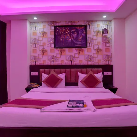 Hotel New Punjab Luxury-3