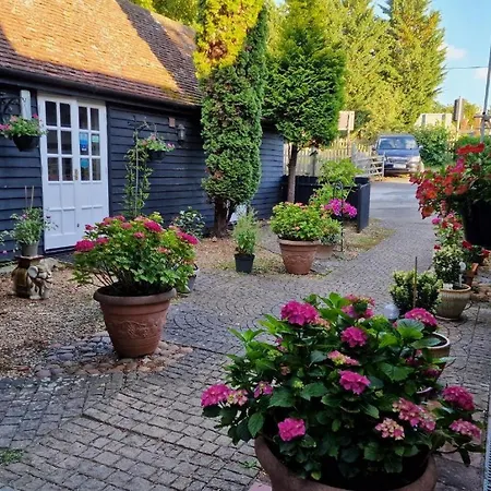 Abingplough House-3