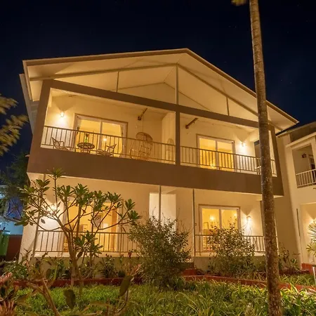 Vits Select Casuarina Diveagar-3