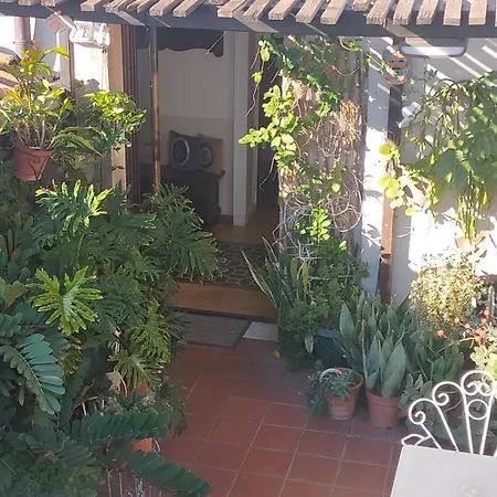 Crociferi B&B-3