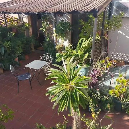 Crociferi B&B-3