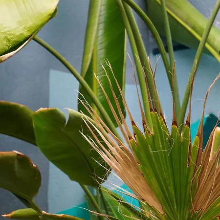 Tenerife Experience Hostel-2