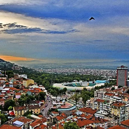 Ozan Suit-3