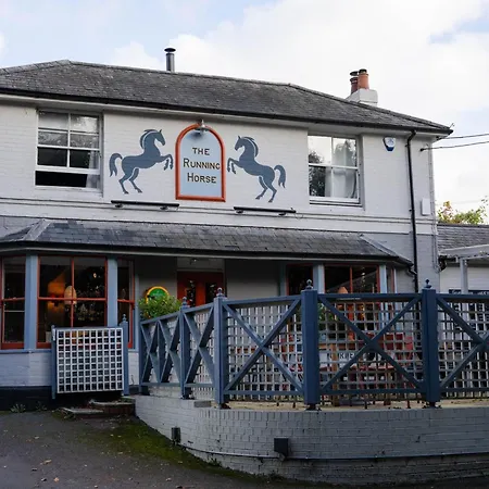 The Running Horse-2