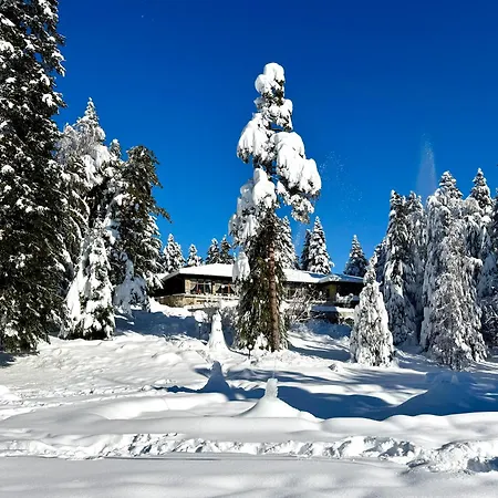 Hotel Bor-2