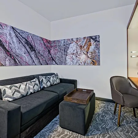 Springhill Suites By Marriott San Antonio Seaworld/Lackland-3