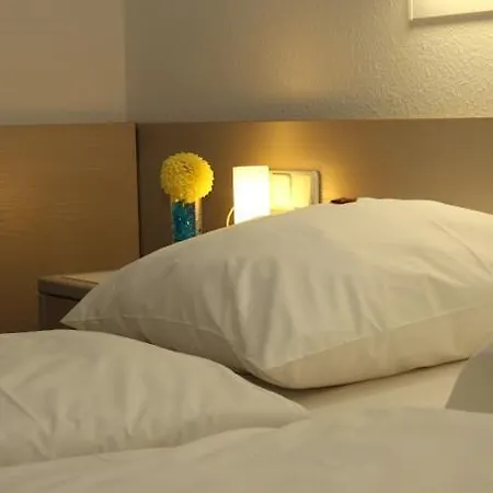 Hotel und Gasthof Zur Laute-3