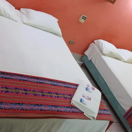 Hotel Green Monkey-3