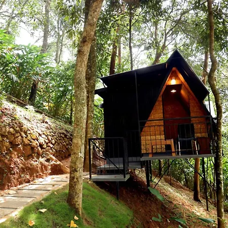 Garden Of Eden-Thottam Munnar-Hiking And Camping-2