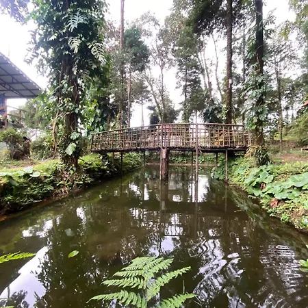Magnolia Farmhouse And Homestay-3