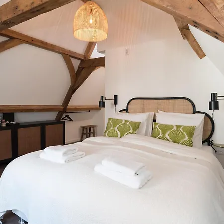 Six Boutique Hotel-2