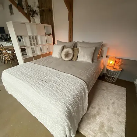 B&B / Studio De Rozeboom-3