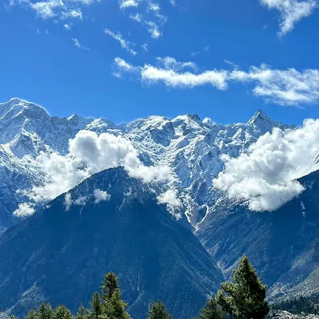 Fayul Retreat - India Highest Glamp And Ecoluxury Stay-3