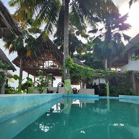 Two Palms-2