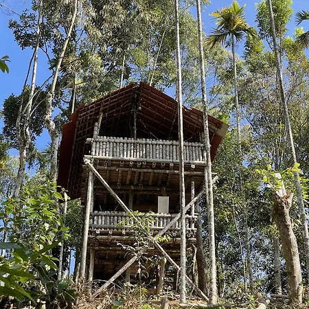 Wetlands Wayanad Pool Resort With Natural Waterfalls-2