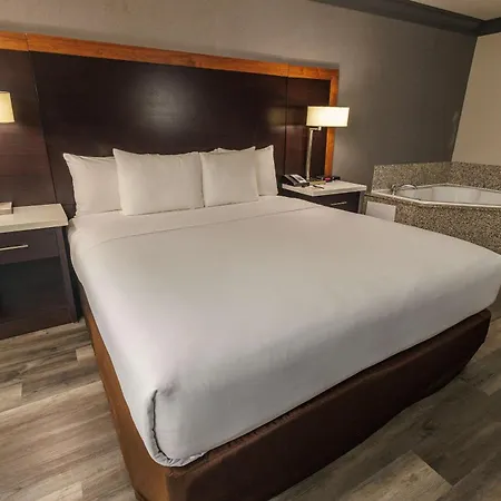 Comfort Inn & Suites Near Universal - N Hollywood - Burbank-2