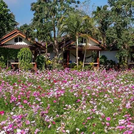 The Nest House-3
