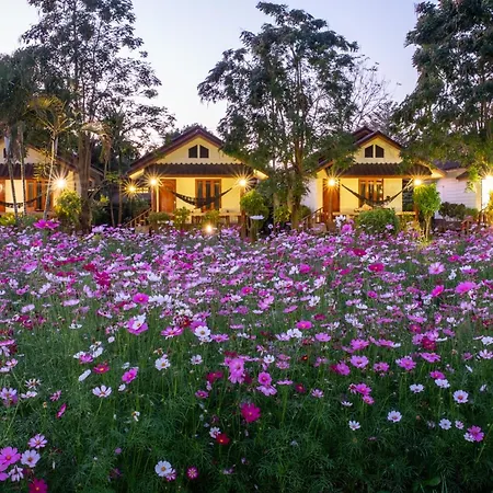 The Nest House-2