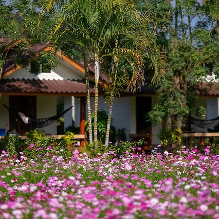 The Nest House-3