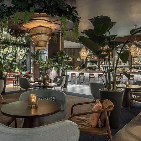 Thesis Hotel Miami Coral Gables, Curio Collection By Hilton-3