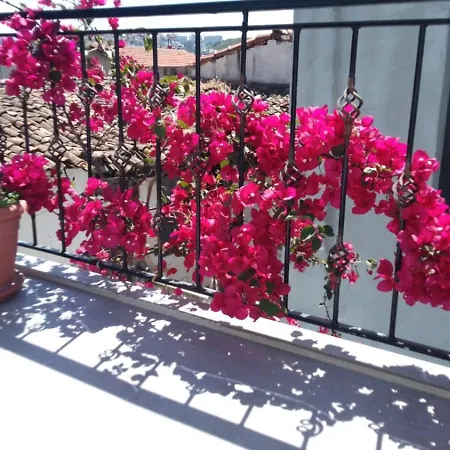Casa Magnolia Boutique Rooms-3