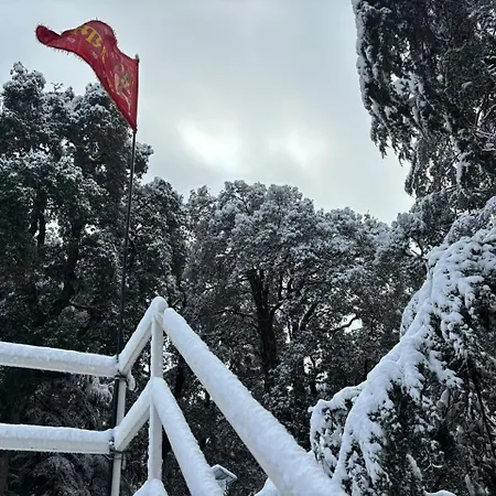 Hotel Jakhu Heights-3