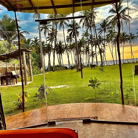 Coconut Tree Hill Rekawa-3