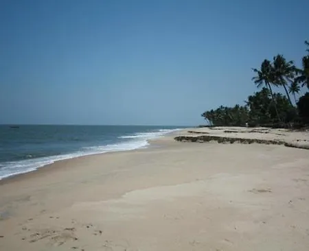 Fool'S Paradise Homestay-2