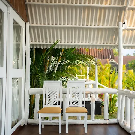 Royal Agonda-2