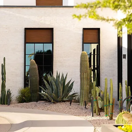 Senna House Hotel Scottsdale, Curio Collection By Hilton-3