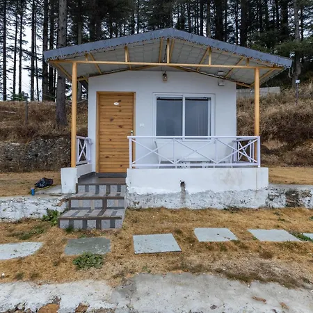The Deodar Stays-2