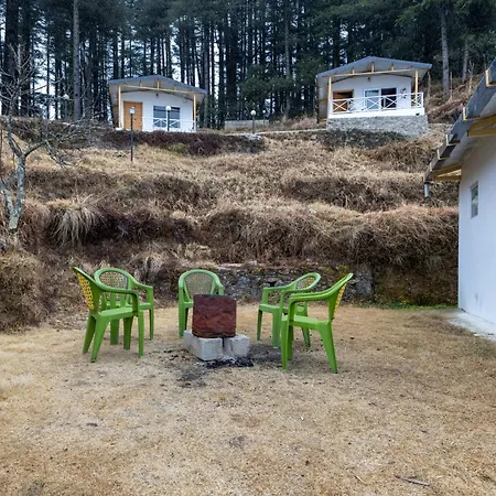 The Deodar Stays-3