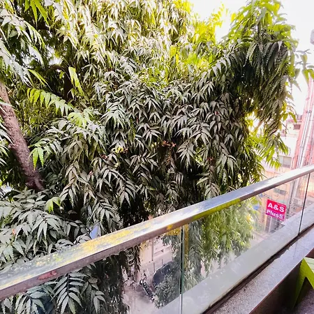 South Haven Residency - South Extension South Delhi-3