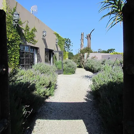 Plett River Lodge-2