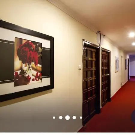 Blossoms Rooms The Plaza Residency- Free Lunch Or Dinner- Lakdikapul-3