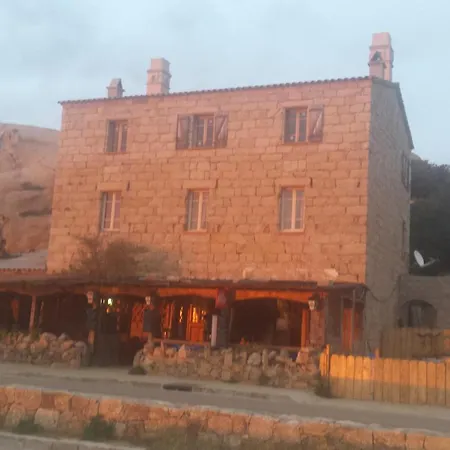 L'oasis du Lion-3