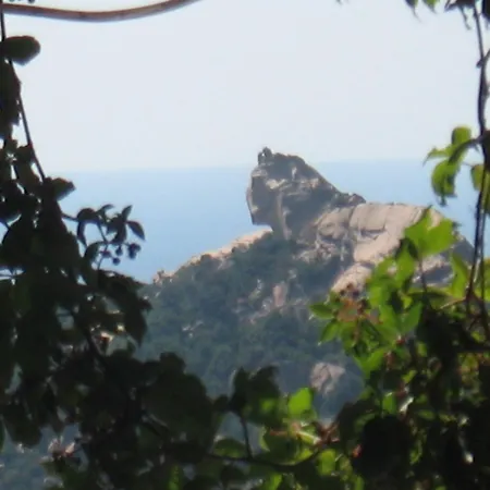 L'oasis du Lion-2
