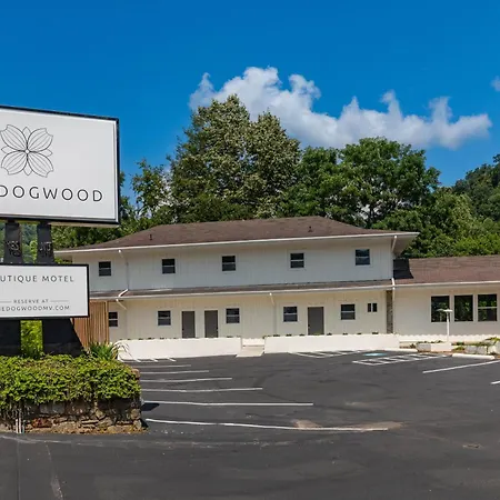 The Dogwood-2