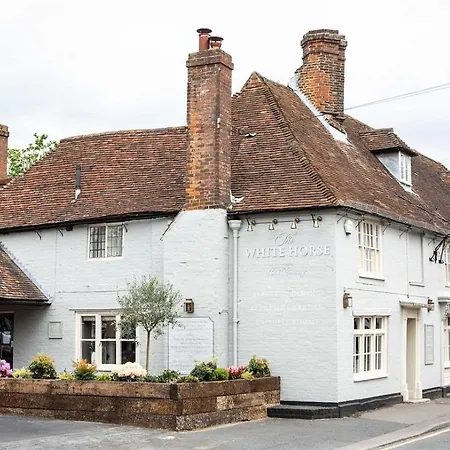 The White Horse-2
