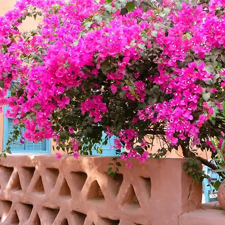 Bab Al Samawy-3