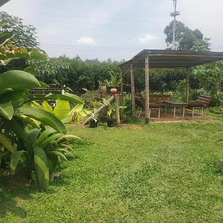 Gaia Eco Hub Bnb-2