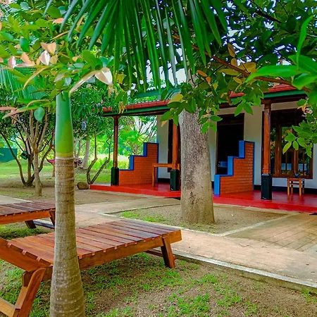 Pride Rock Villa & Tree House-2