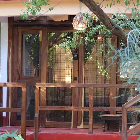 Casa Ava-2
