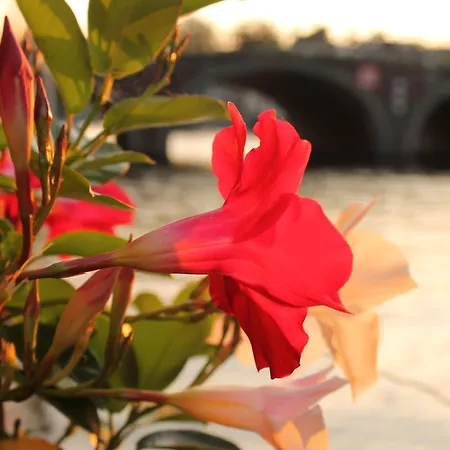 Houseboat Orpheus-3