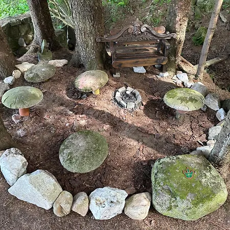 Awakening Alchemy Retreat Centre-3