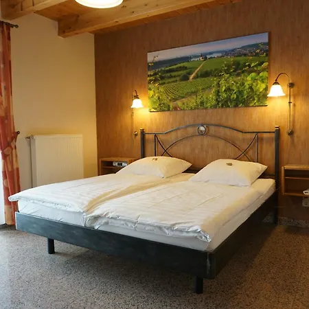Weingut&Gästehaus Julianenhof-3