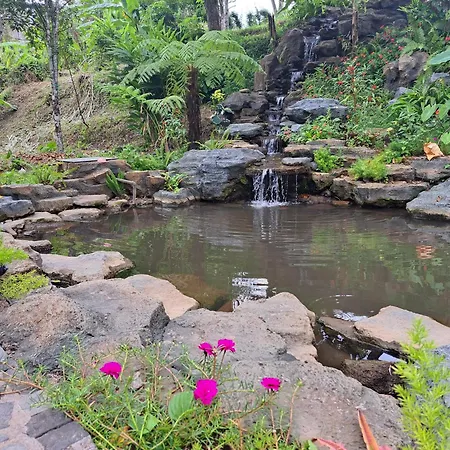 Mayura Bali Villa-3