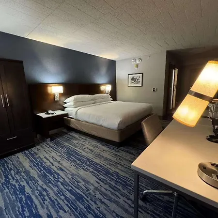 Skyline Hotel Detroit Airport, Surestay Collection By BW-3