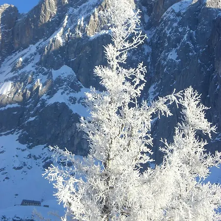 Gasthof Hunerkogel-2