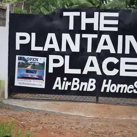 The Plantains Place-2